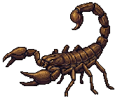 Escorpião do deserto